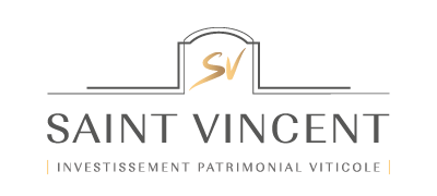AV-PATRIMOINE-Partenaire-StVincent-Logo